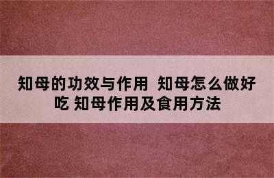 知母的功效与作用  知母怎么做好吃 知母作用及食用方法